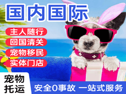 花果山航空快递国际宠物托运 【国